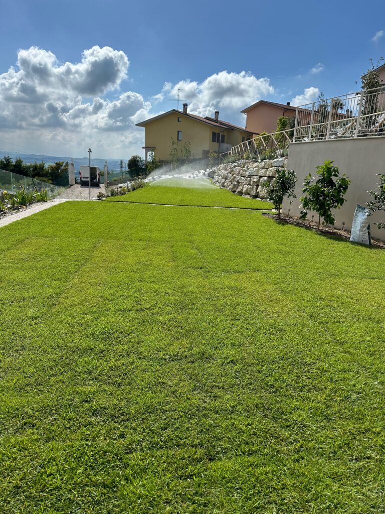 Prato con impianto di irrigazione e muro in pietra